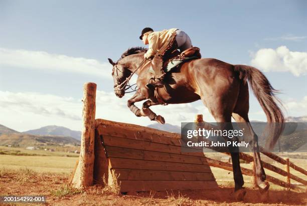 horsewoman jumping cross-country fence , side view - jumping stockfoto's en -beelden