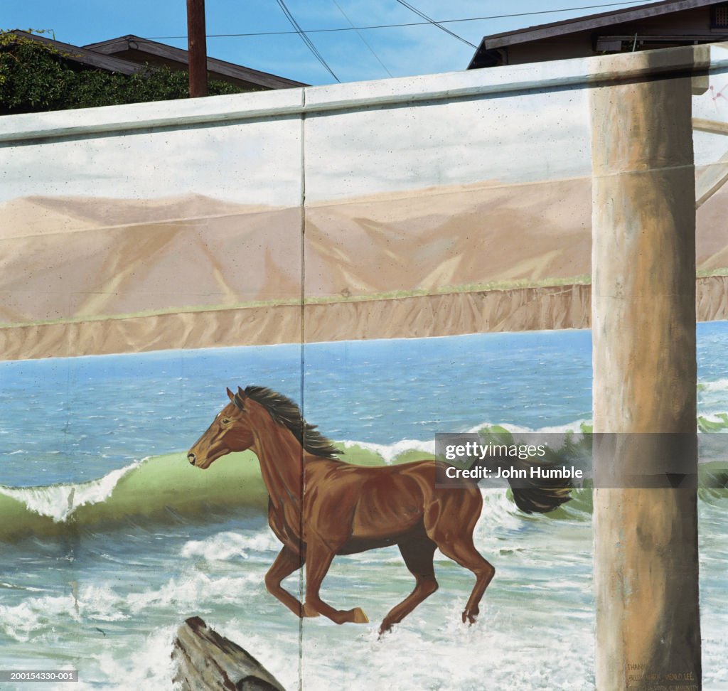 Mural on building of horse running in surf