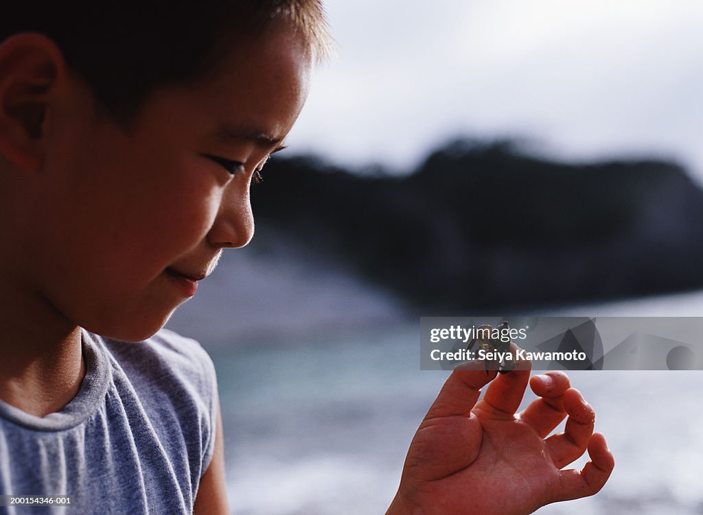 Boy (8-10) holding crab on beach, side view, close-up