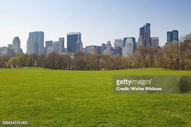usa, new york city, central park, sheeps meadow, spring - sheep meadow central park stock pictures, royalty-free photos & images