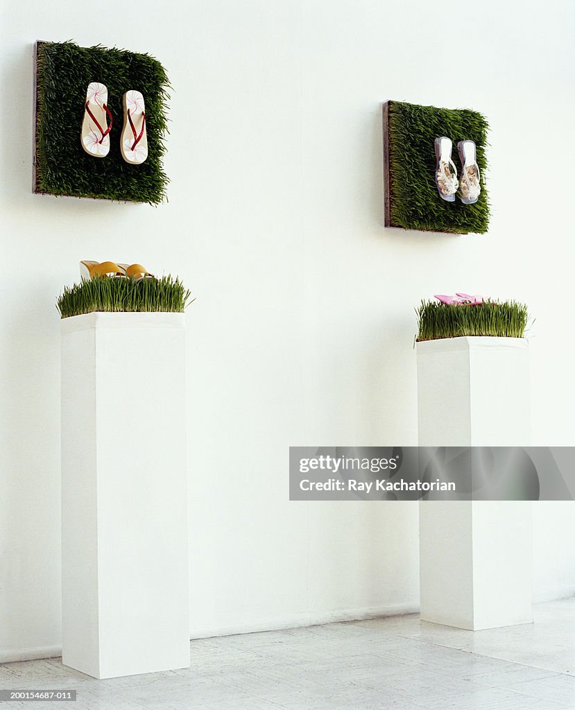 Shoe store with shoes displayed on turfs of wheat grass