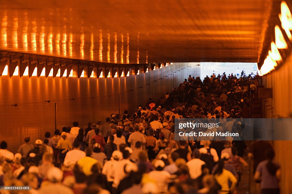 Runners passing through tunnel during road race, rear view