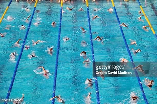 crowded lap pool (digital enhancement) - length stock pictures, royalty-free photos & images