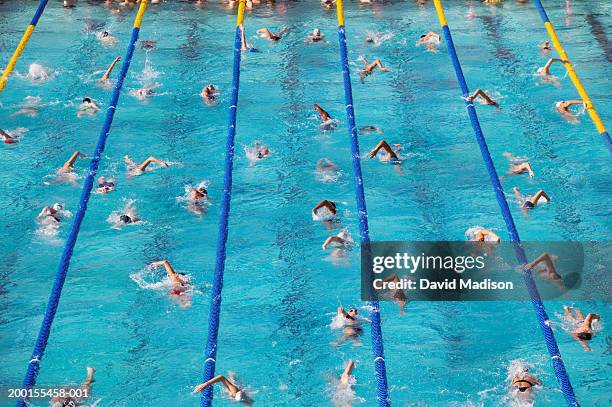 crowded lap pool (digital enhancement) - swimming lanes stock pictures, royalty-free photos & images