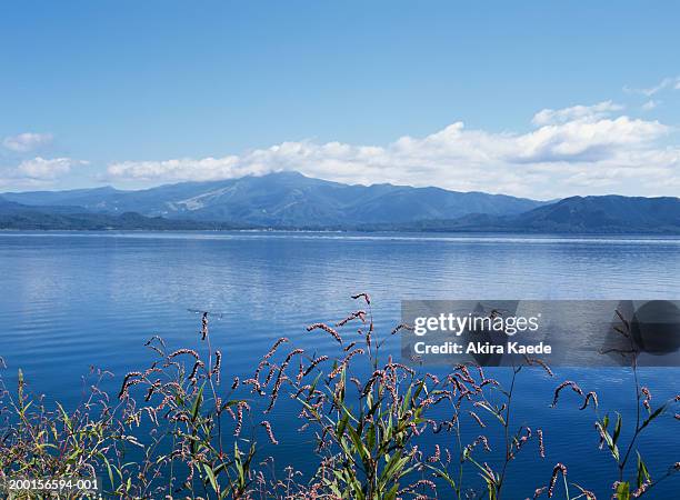 japan, akita prefecture, nishiki, lake tazawa - travel11 stock pictures, royalty-free photos & images