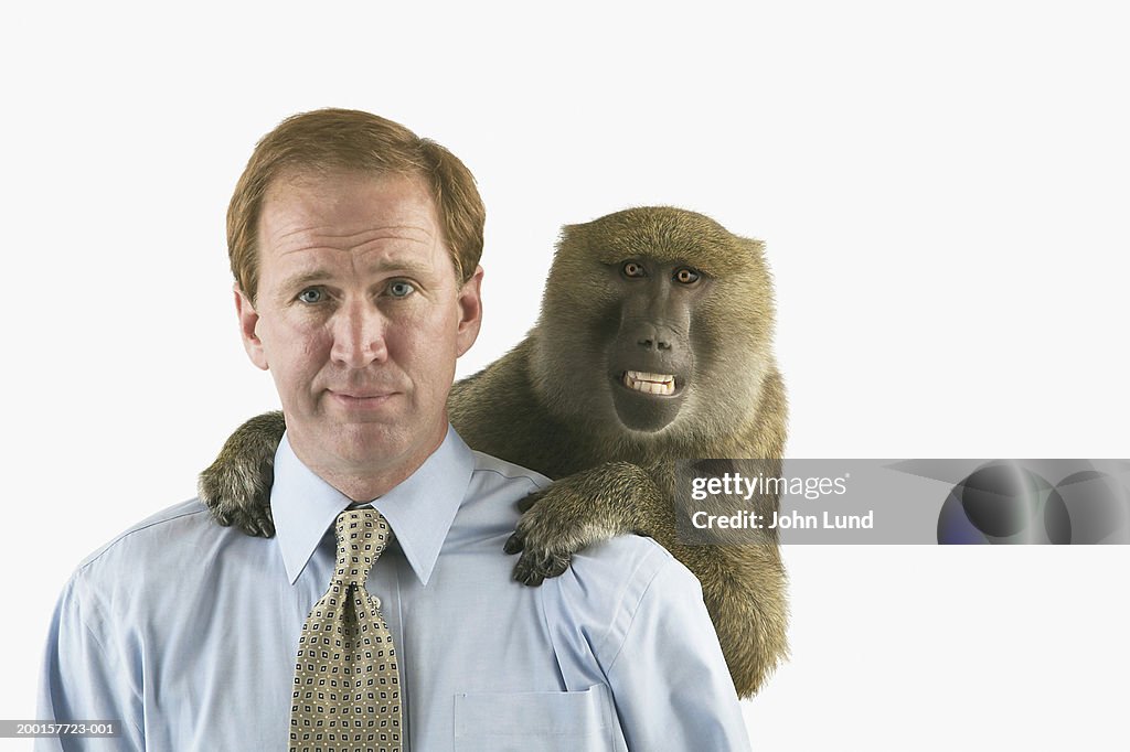Baboon on businessman's back