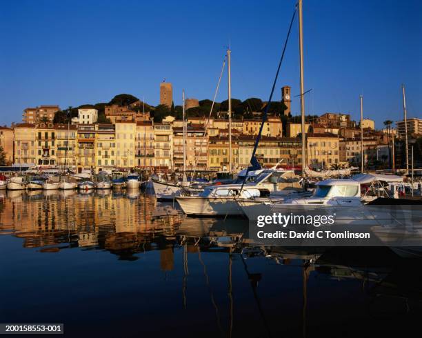 france, alpes-maritimes, cote d'azur, cannes, harbour and town - cannes harbour stock pictures, royalty-free photos & images