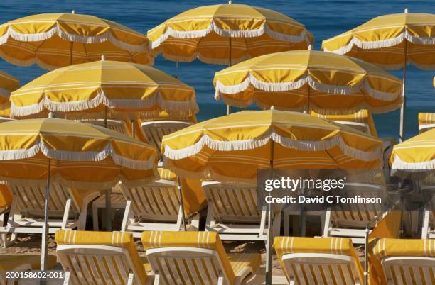 yellow deck chairs and umbrellas on beach - strandschirm stock-fotos und bilder