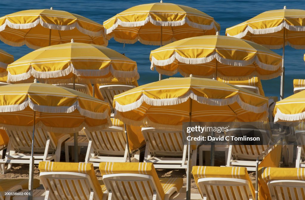 Yellow deck chairs and umbrellas on beach