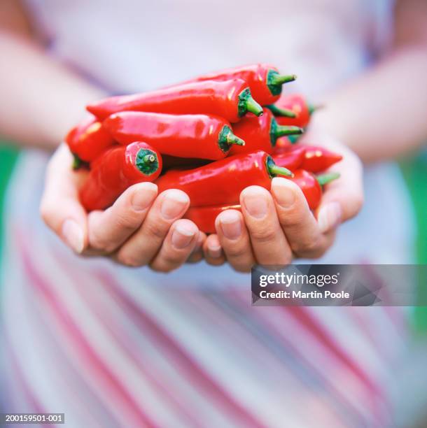 woman holding handful of red chillies, mid section, close-up - chilis stockfoto's en -beelden