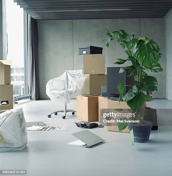 pot plant, boxes and chair covered in bubble wrap in office - moving office stock-fotos und bilder