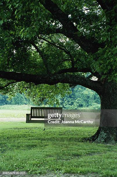 wooden swing hanging from tree - holzbank stock-fotos und bilder