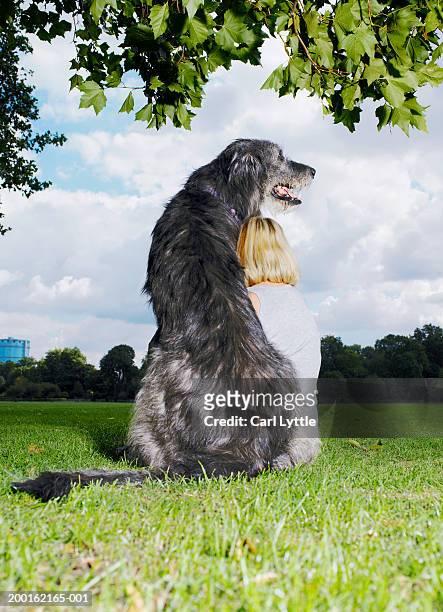 mature woman and irish wolfhound sitting on grass, rear view - big dog stock pictures, royalty-free photos & images