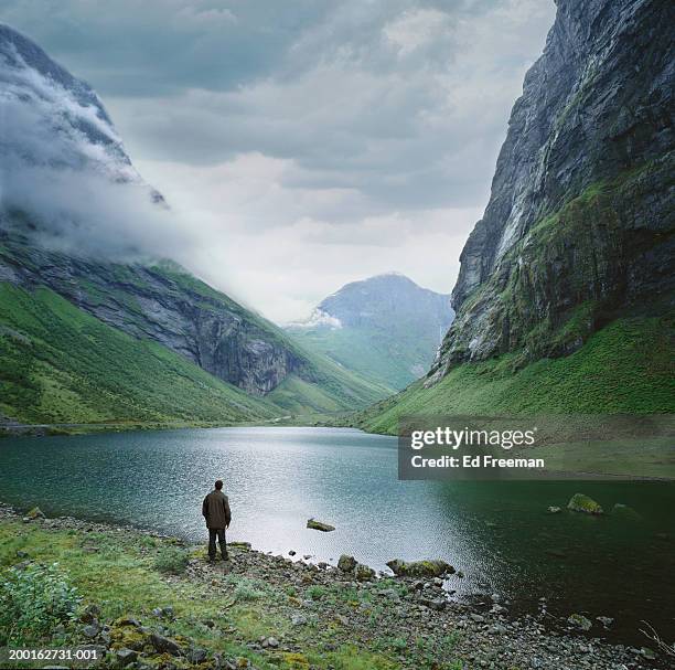 norway, norangsdalen chasm, man looking at scenery, rear view - travel11 stock pictures, royalty-free photos & images