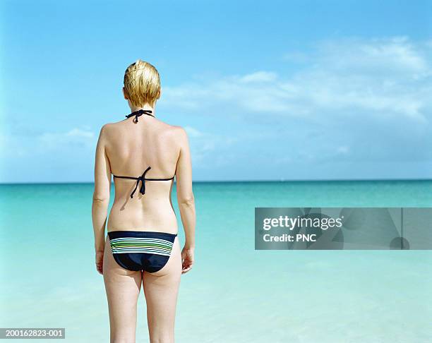 leeward dutch antilles, aruba, woman standing on beach, rear view - leeward dutch antilles photos et images de collection