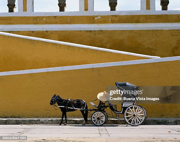 horse and carriage driver - sombrero stock pictures, royalty-free photos & images