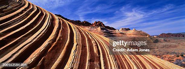 usa, arizona, paria canyon-vermilion cliffs wilderness, coyote buttes - travel11 stock pictures, royalty-free photos & images