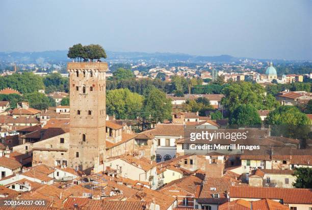 italy, tuscany, lucca, cityscape and torre guinigi, elevated view - lucca italy stock pictures, royalty-free photos & images