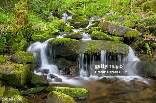 stream surrounded by lush foliage (long exposure) - nationalpark great smoky mountains stock-fotos und bilder