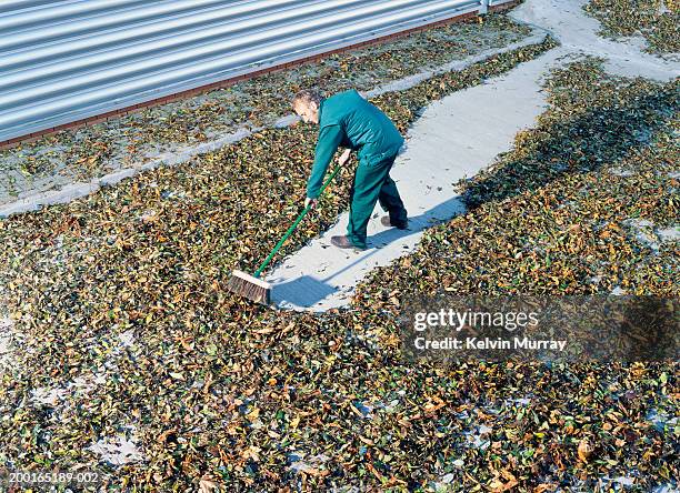 man clearing leaves with brush, elevated view - stoneplus8 stock pictures, royalty-free photos & images