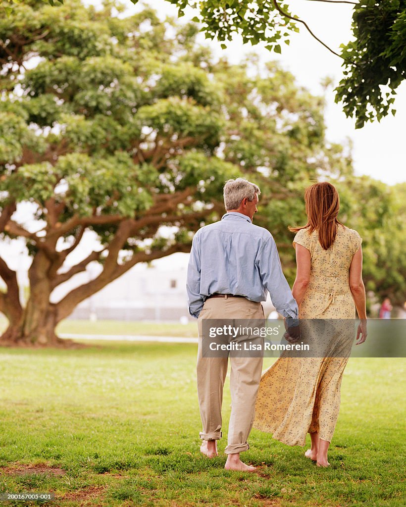 Couple walking in park, rear view