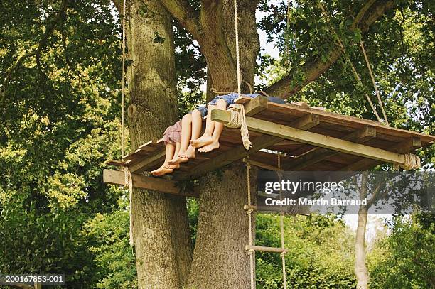 three children (9-12) in treehouse, low section, low angle view - tree house stock pictures, royalty-free photos & images