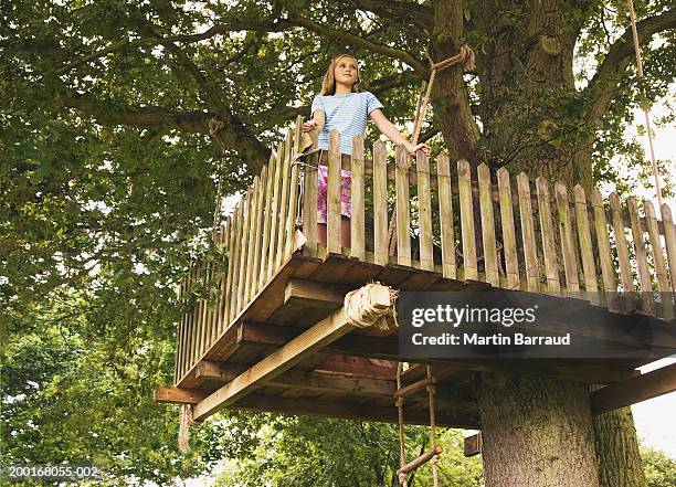 girl (9-11) standing in treehouse, low angle view - scala di corda foto e immagini stock