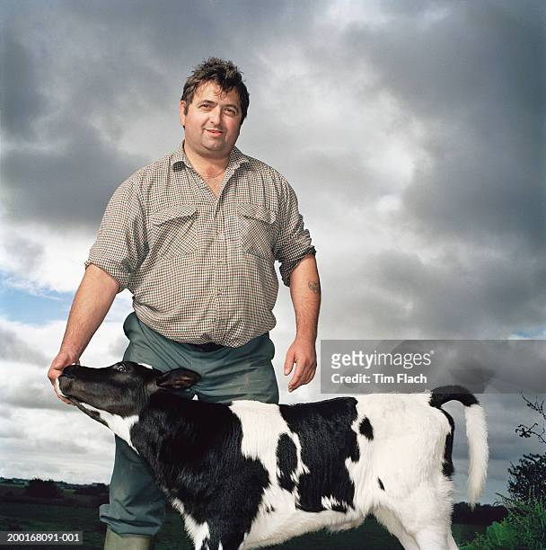man standing in field with holstein-friesian calf, portrait - fresian calf foto e immagini stock