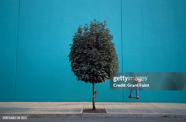 teenage boy (14-16) skateboarding near tree - city sidewalk stock pictures, royalty-free photos & images