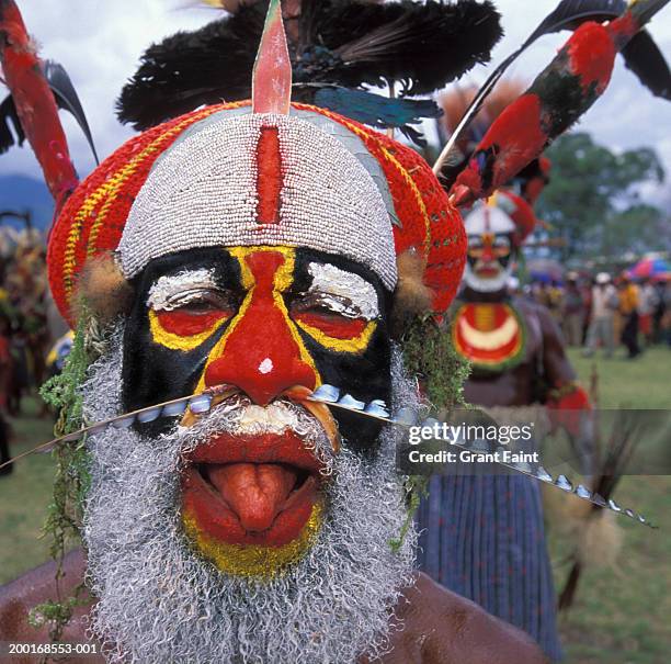 senior man in tribal costume, portait - goroka stockfoto's en -beelden