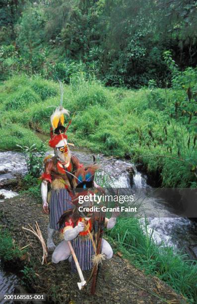 two men in tribal costume near waterfall, elevated view - goroka stockfoto's en -beelden