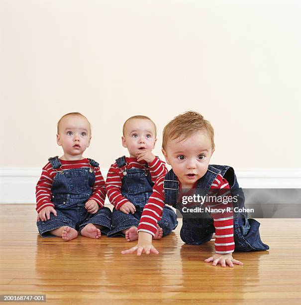 triplet baby boys (9-12 months) on hardwood floor - triplet stock pictures, royalty-free photos & images