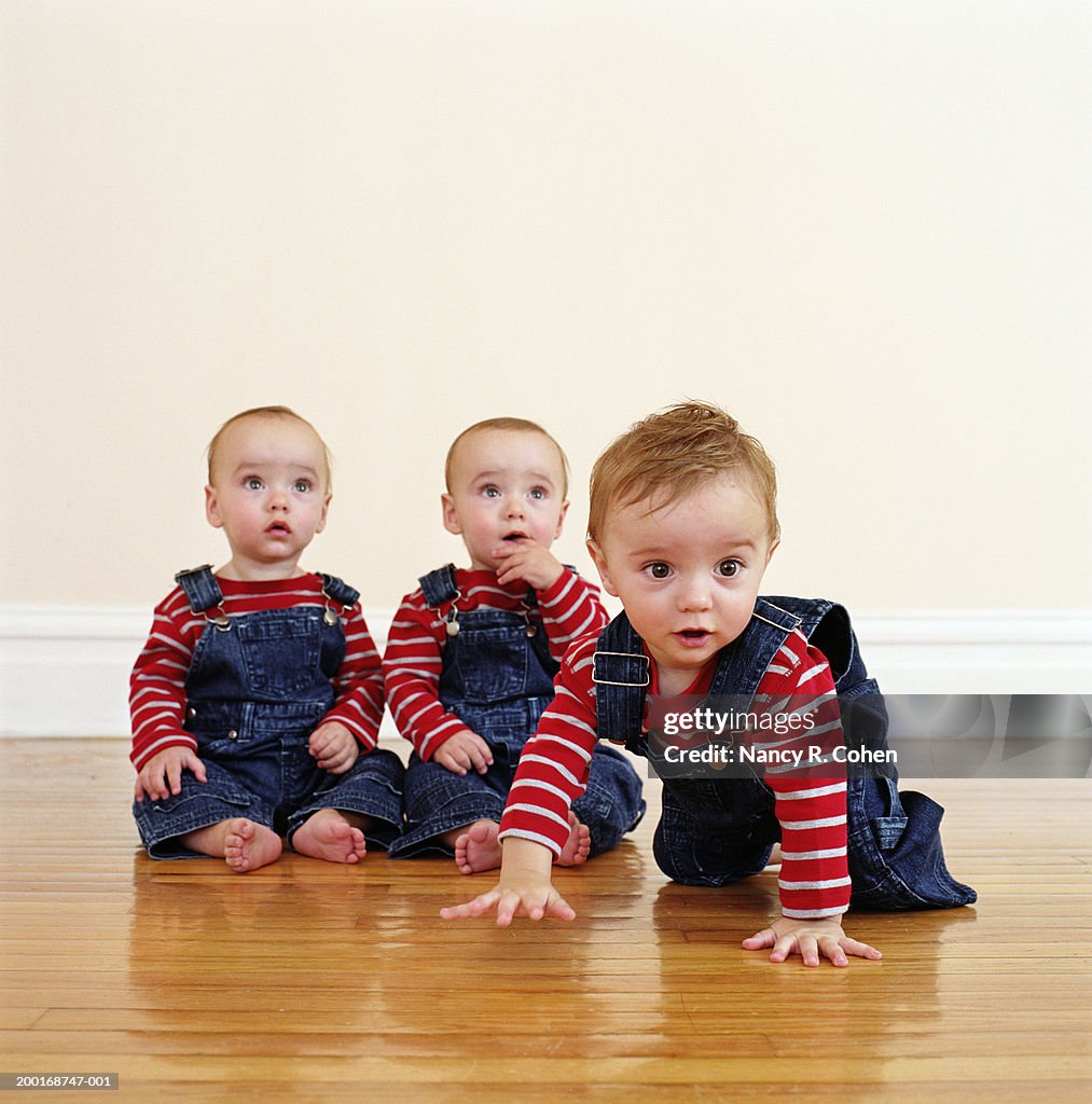 Triplet baby boys (9-12 months) on hardwood floor