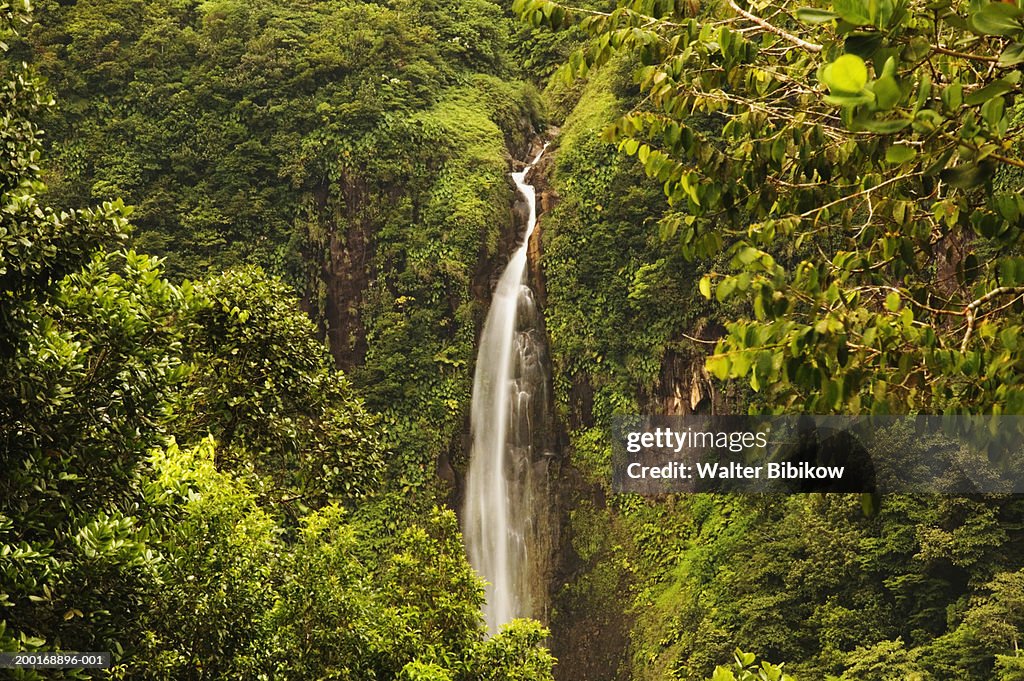 French West Indies, Guadeloupe, Chutes Du Carbet