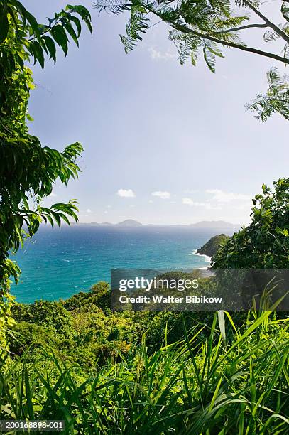 french west indies, guadeloupe, les saintes from pointe madame - guadeloupe stockfoto's en -beelden