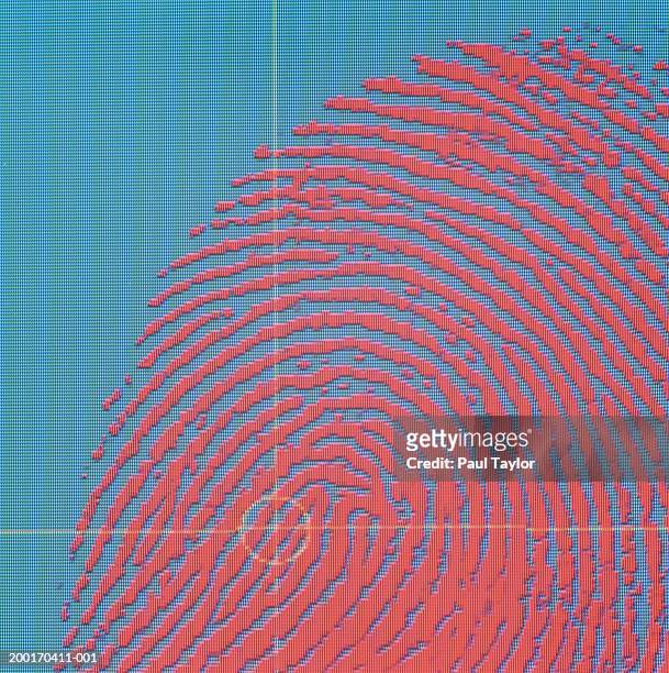 fingerprint with laser scan on monitor, close-up - stoneplus9 ストックフォトと画像