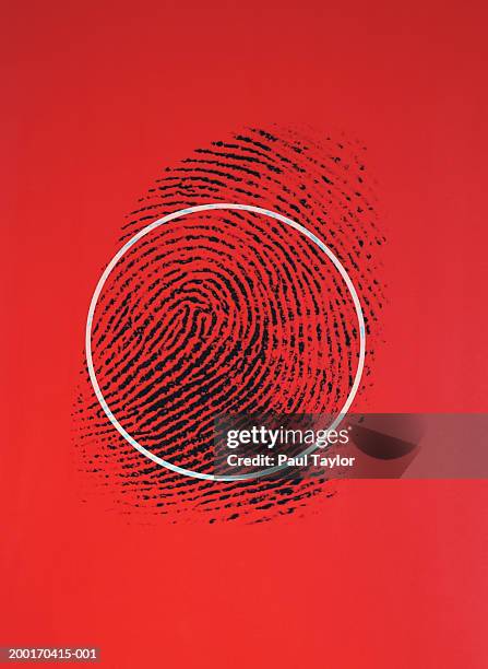 fingerprint with circle, red background - stoneplus9 ストックフォトと画像