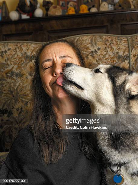 dog licking woman's face, high section (focus on dog) - dog licking face stockfoto's en -beelden