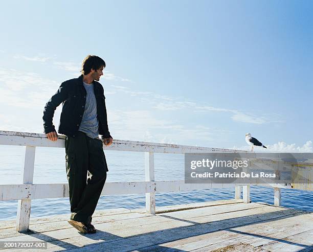 man standing on pier next to seagull - stoneplus9 ストックフォトと画像