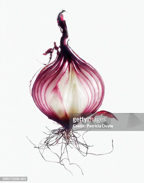 red onion, cross-section, close-up - タマネギ ストックフォトと��画像