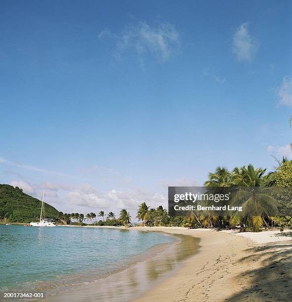 caribbean, st vincent and grenadines, mayreau island, salt whistle bay - st bernhard stock pictures, royalty-free photos & images