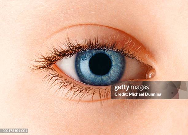 boy's (5-7) left eye, close-up - iris oog stockfoto's en -beelden