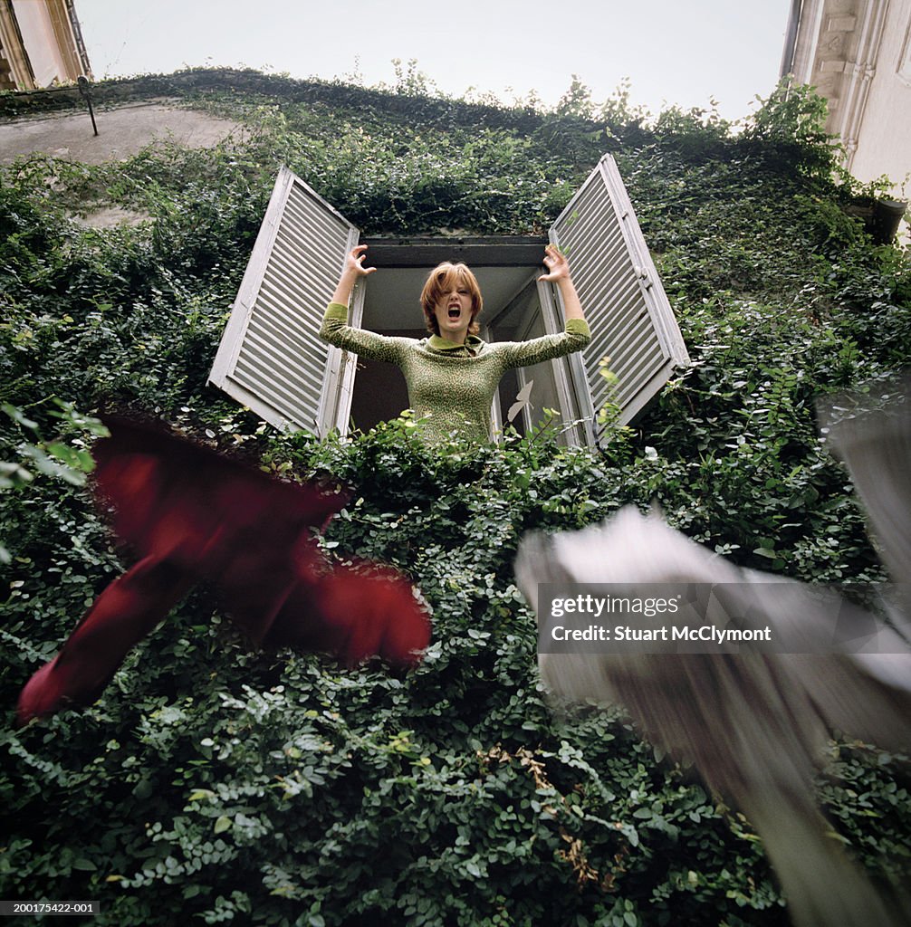 Woman throwing clothes out of window surrounded by ivy, low angle view