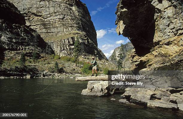 usa, idaho, middle fork of salmon river, man fly-fishing on log - middle fork of the salmon river stock pictures, royalty-free photos & images
