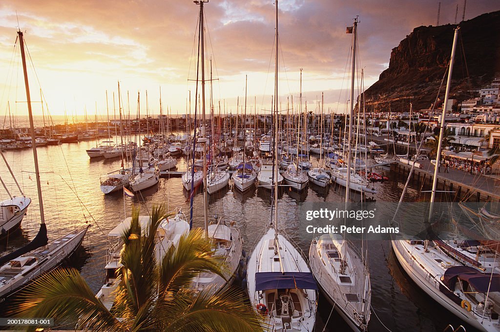 Spain, Canary Islands, Tenerife, Puerto de Mogan, sunset