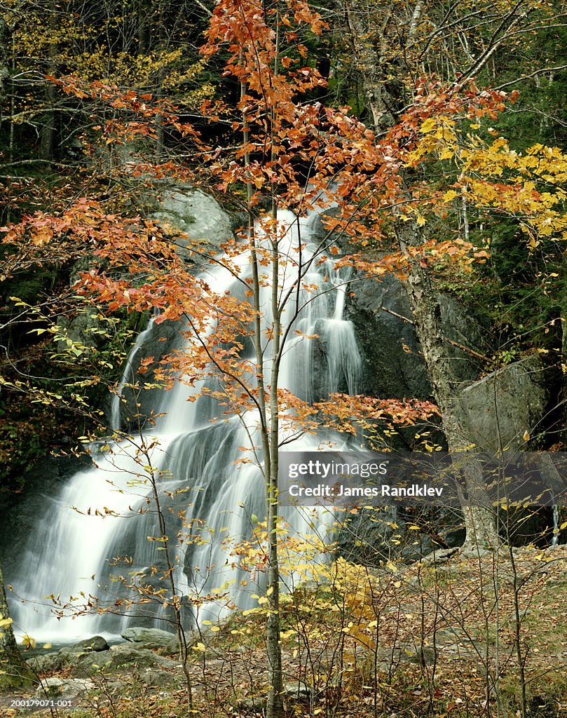USA, Vermont, Granville, Moss Glen Falls, fall