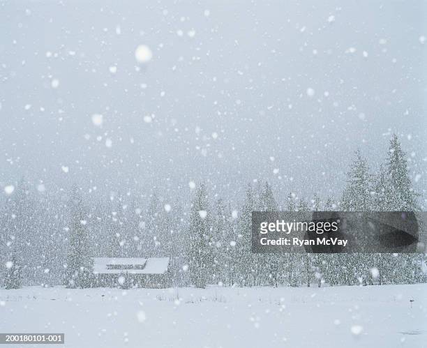 usa, washington, mazama, snow falling on cabin, winter - ventisca fotografías e imágenes de stock