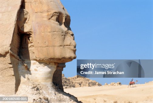 Egypt, Giza, Sphinx, side view