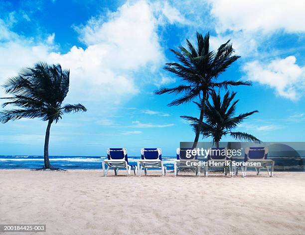 line of sun loungers on beach, facing ocean and palms - voyage15 photos et images de collection