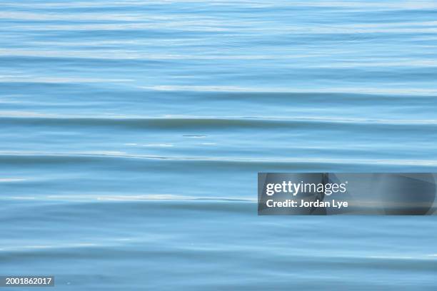 wave patterns in shallow water - rhythm stock pictures, royalty-free photos & images
